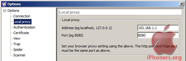 Local proxy options on Paros