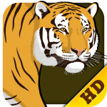 The Zoo HD for iPad Review