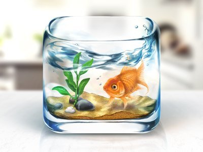 fishbowl_ios