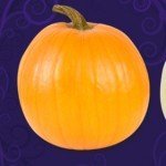 CarveAPumpkin - Review